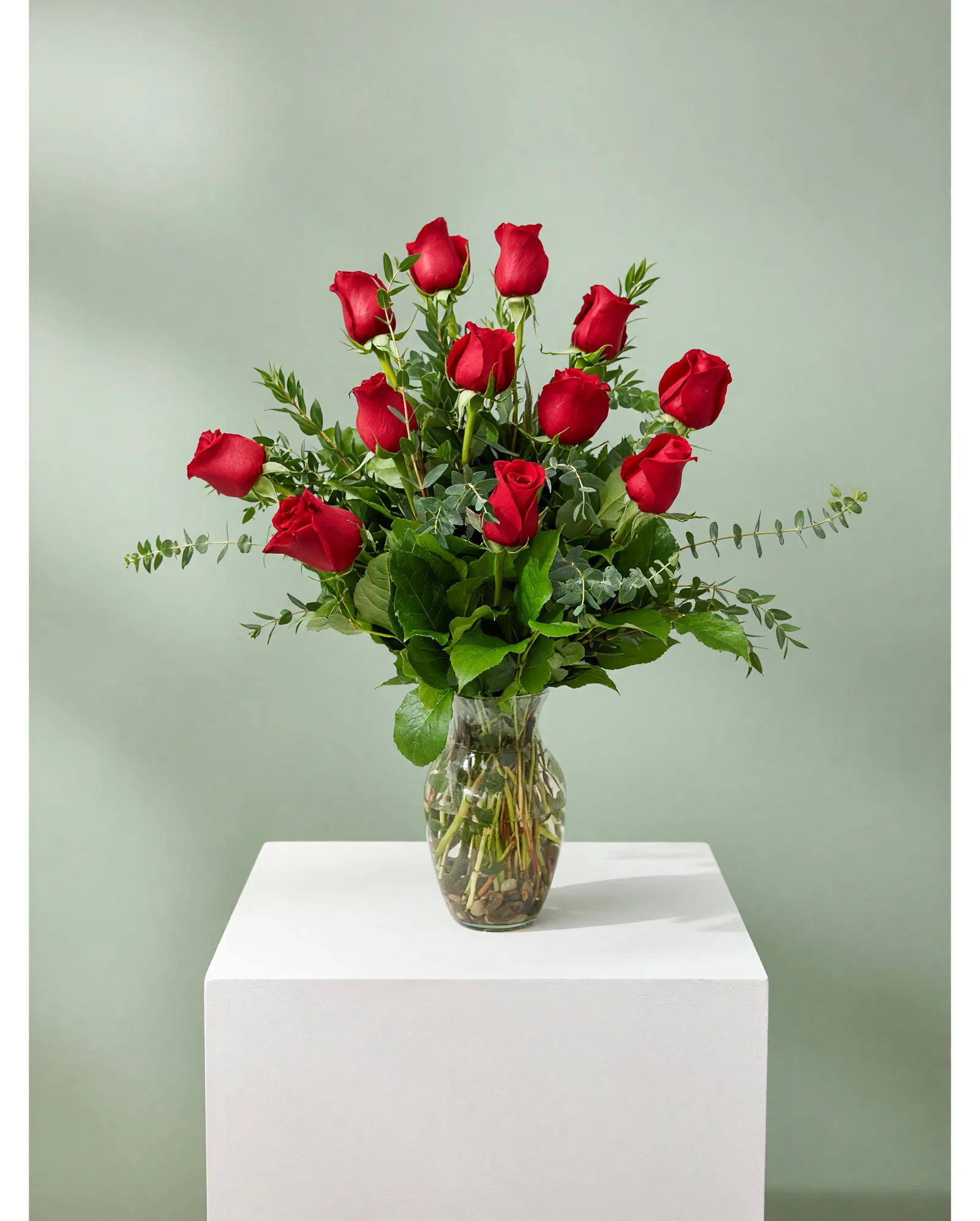 DFW Petals same-day flower delivery in Dallas–Fort Worth — Dozen Standard Red Roses