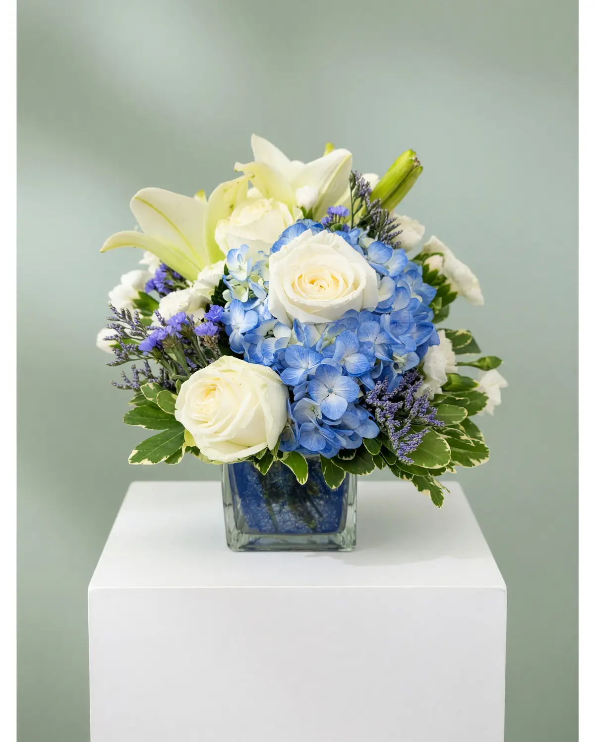 DFW Petals same-day flower delivery in Dallas–Fort Worth — Sentiments Petite