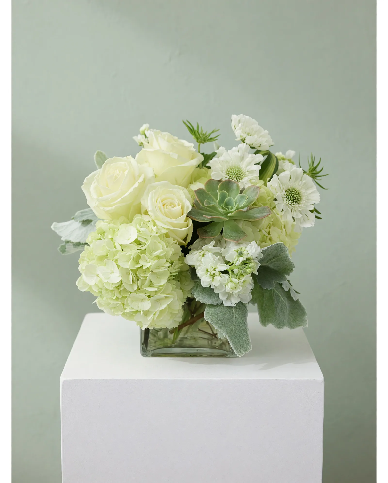 DFW Petals same-day flower delivery in Dallas–Fort Worth — Grace
